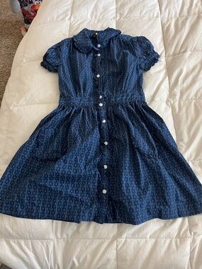 Polo by Ralph Lauren Navy Blue Button-Front Cotton Day Dress